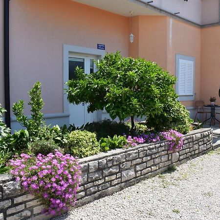 Apartman Fachin Мотовун Екстериор снимка
